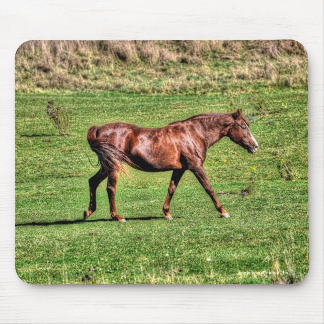 Horse-lover's Beautiful Equine Animal Design Mouse Pad (Front)