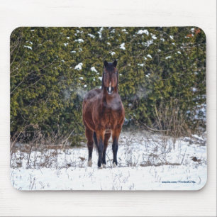 Horse-lover's Beautiful Equine Animal Design Mouse Pad