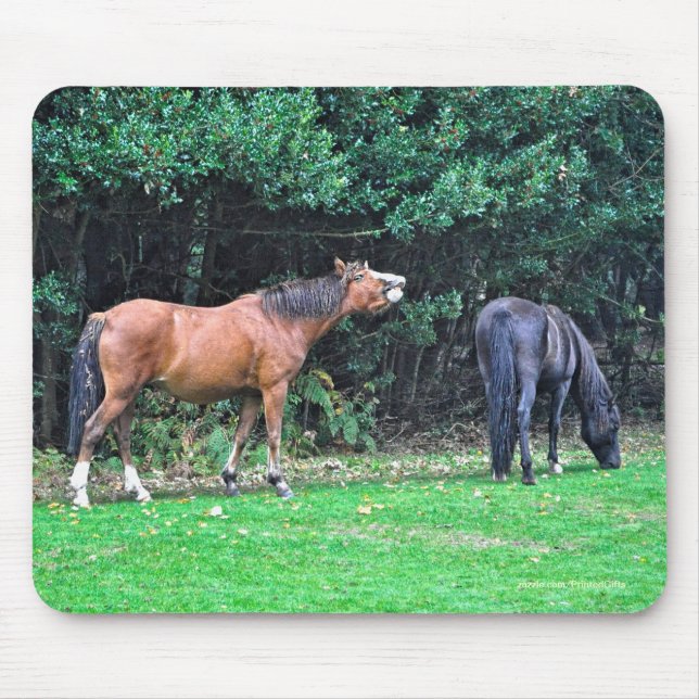 Horse-lover's Beautiful Equine Animal Design Mouse Pad (Front)