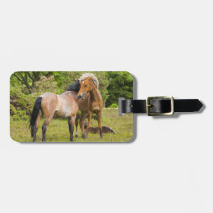 Horse Lover's custom luggage tag