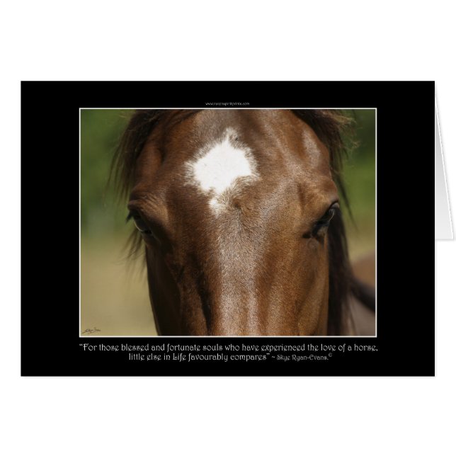 Horse-lover's Equine Animal-lover's Gift (Front Horizontal)