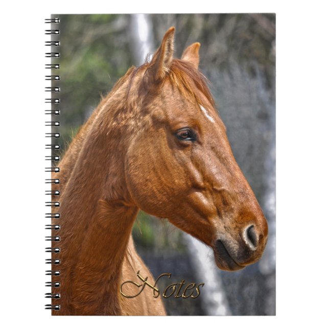 Horse-lover's Equine Animal Notebook (Front)