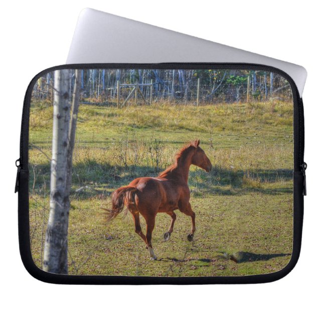 Horse-lovers Equine Ranch Horse Photo Laptop Sleeve (Front)