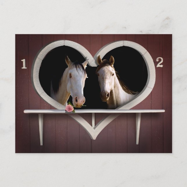 Horse Lovers Postcard (Front)
