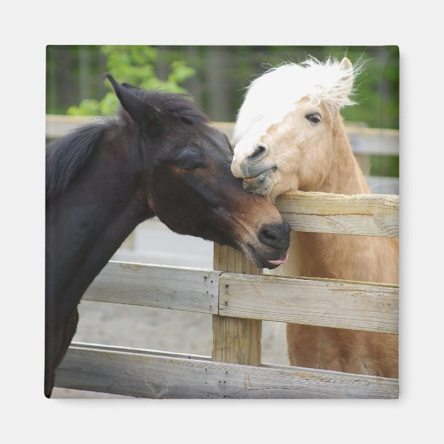 Horse Lovin' Magnet (Front)