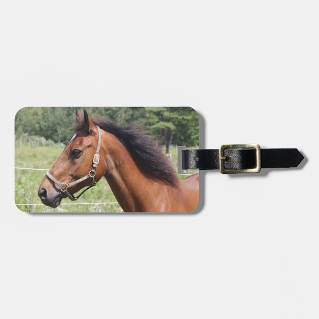 Horse Luggage Tag (Front Horizontal)