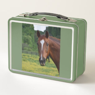 horse lunch box
