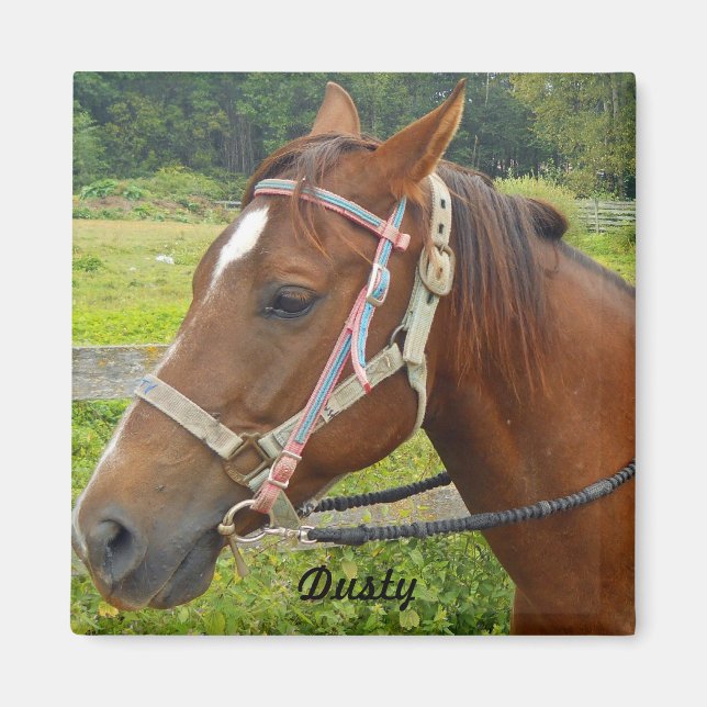 Horse Magnet (Front)