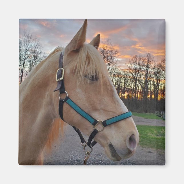 Horse Magnet (Front)