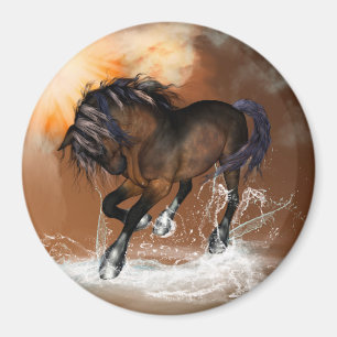 Horse Magnet
