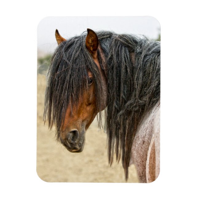 Horse Mane Magnet (Vertical)