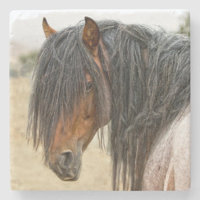 Horse Mane Stone Coaster (Front)