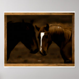horse mates poster