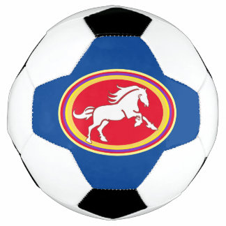 Horse Medallion Soccer Ball, Country Western Ball