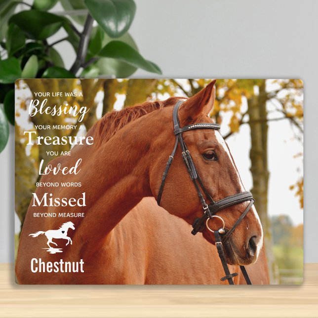Horse Memorial Pet Loss Remembrance Horse Photo Plaque (Creator Uploaded)