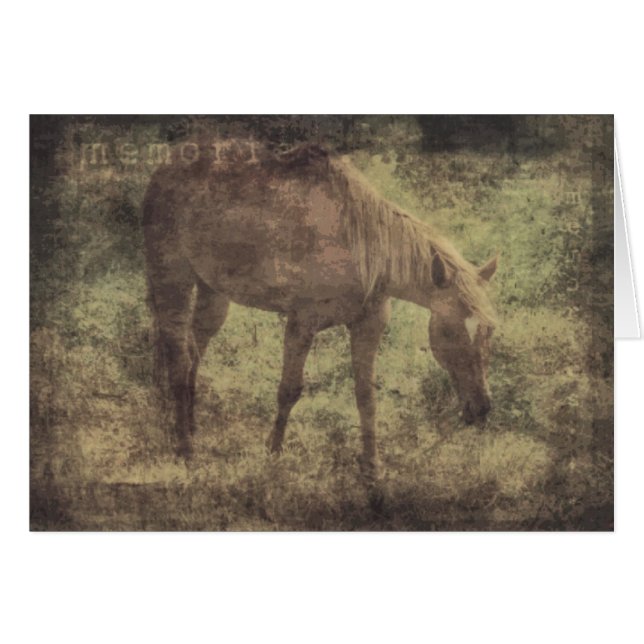 Horse Memories Grunge (Front Horizontal)