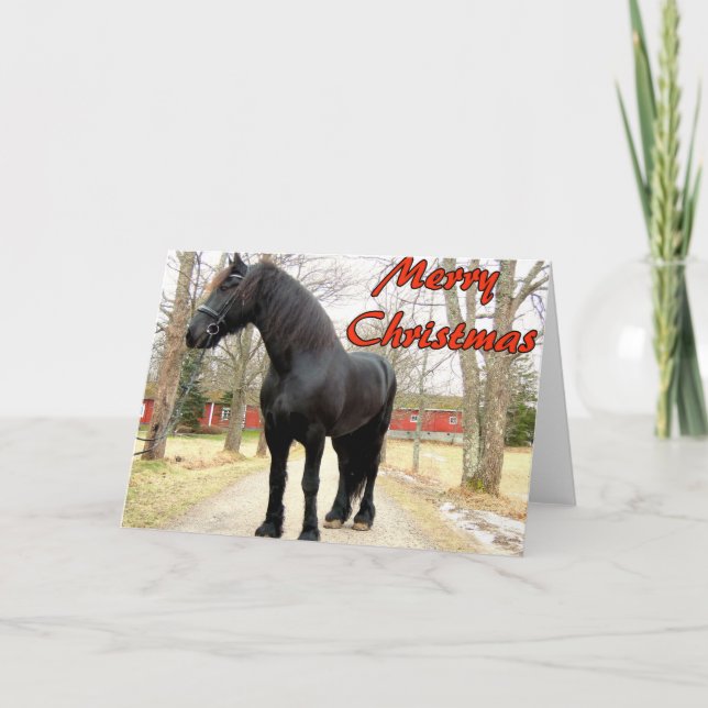 Horse Merry Christmas.jpg Holiday Card (Front)