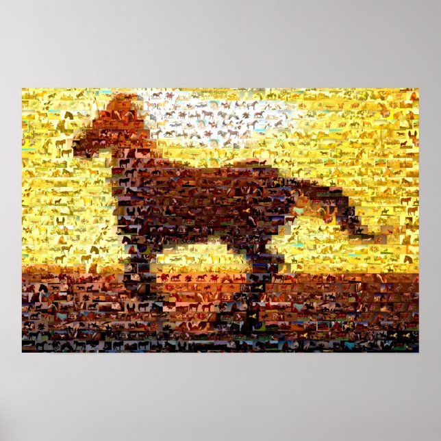 Horse montage mosaic collage poster (Front)