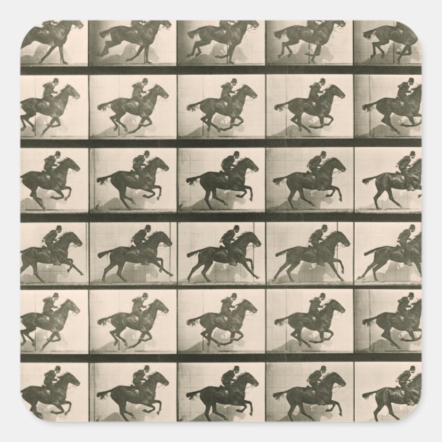 Horse Motion Vintage Photography Square Sticker (Front)