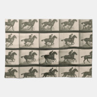 Horse Motion Vintage Photography