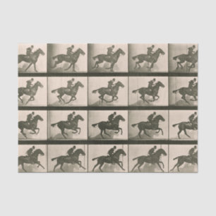 Horse Motion Vintage Photography Tissue Paper