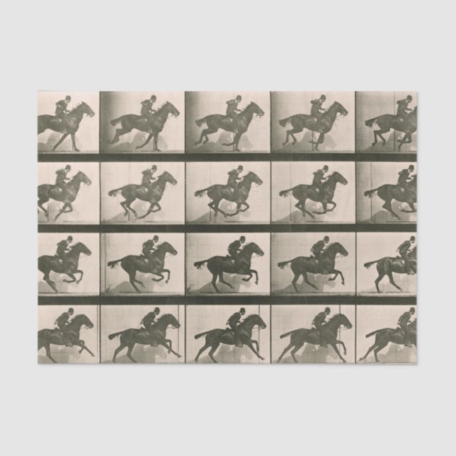 Horse Motion Vintage Photography Tissue Paper (Front)