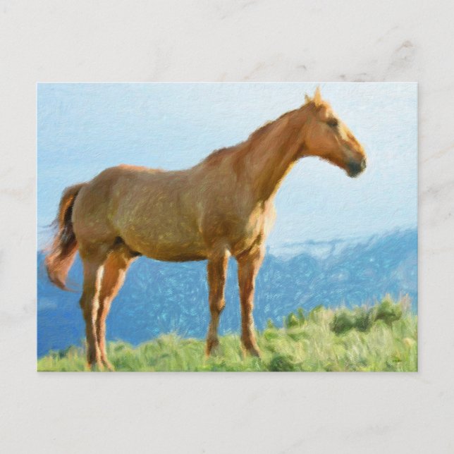 *~* Horse - Mountains Hill AR22 Equine Watercolor  Postcard (Front)