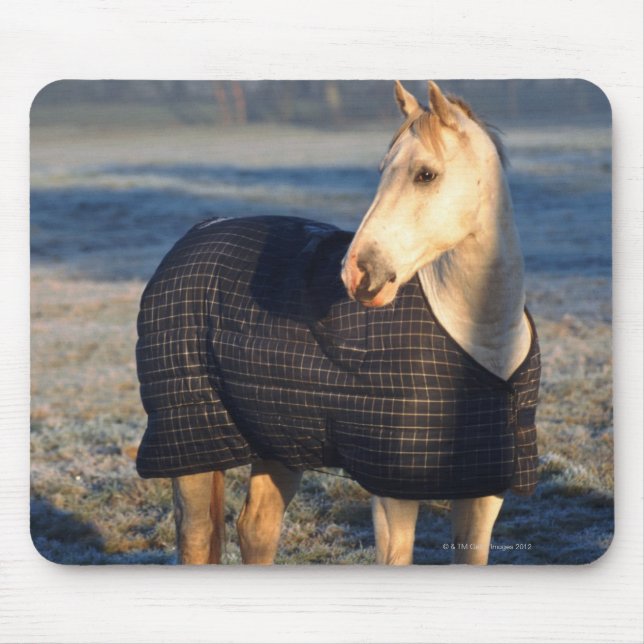 horse mouse pad (Front)