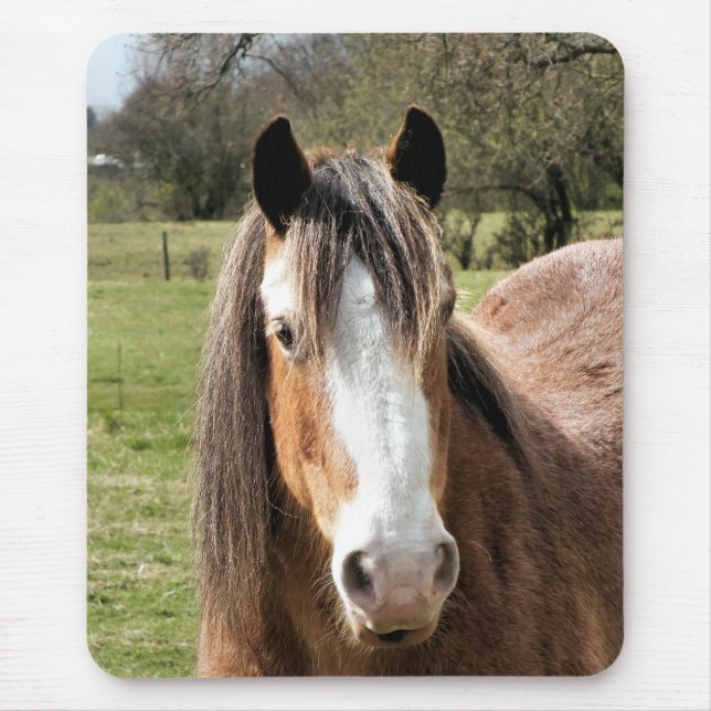 HORSE MOUSE PAD (Front)