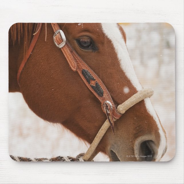 Horse Mouse Pad (Front)
