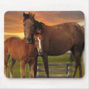 Horse Mouse Pad