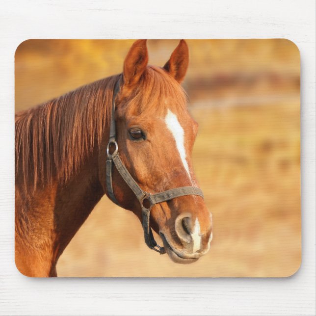 Horse Mouse Pad (Front)