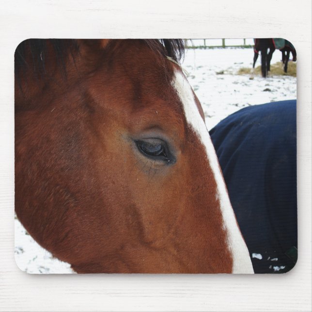 Horse mousemat (Front)