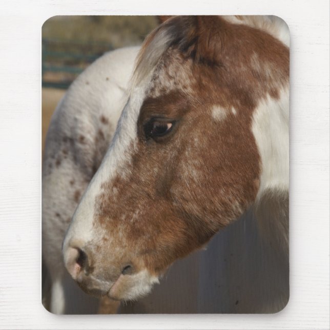 Horse Mousepad (Front)