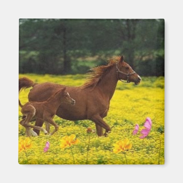 horse mum and baby magnet (Front)