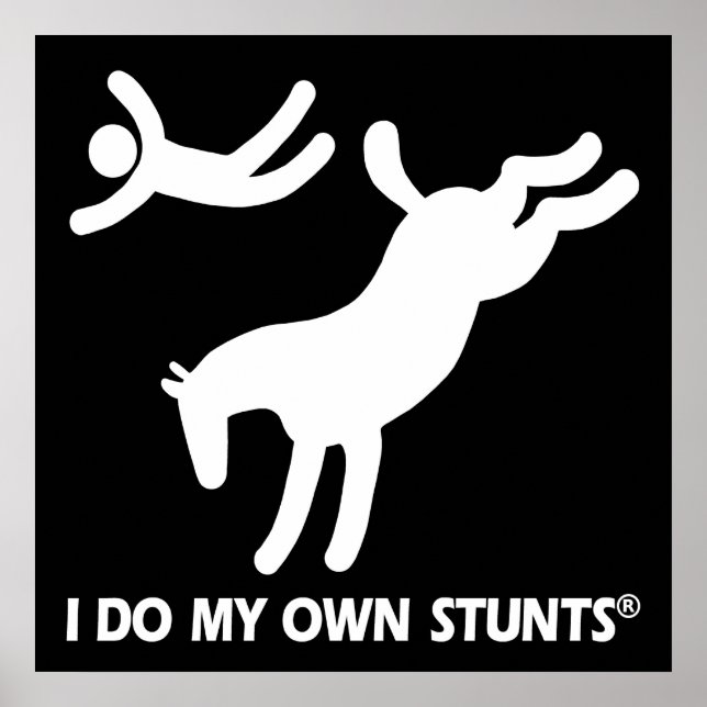 Horse My Own Stunts Poster (Front)