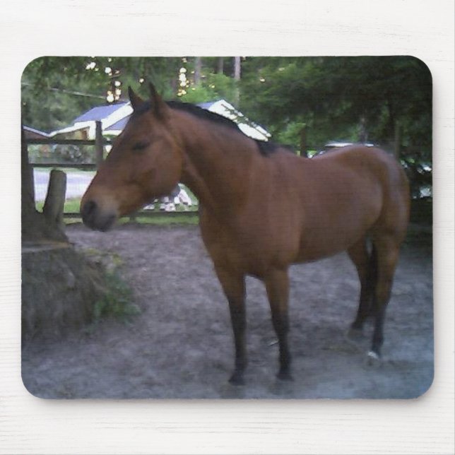 Horse named Cruz Mouse Pad (Front)