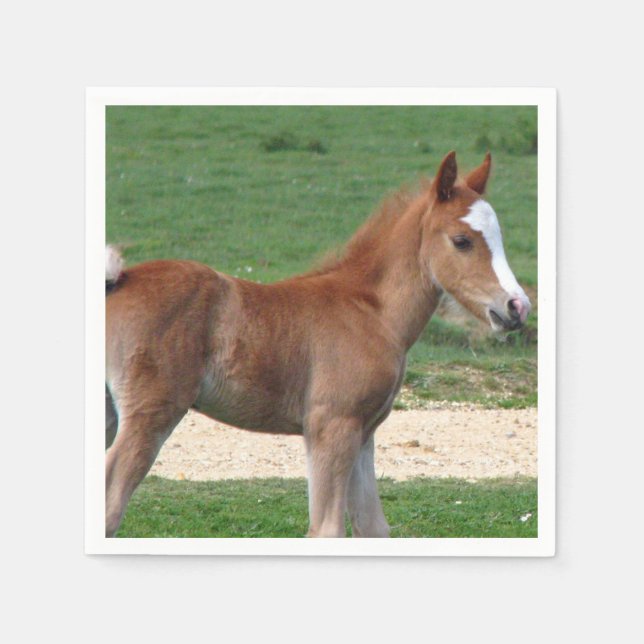 Horse Napkin (Front)