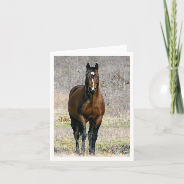 Horse Note Cards Blank (Front)