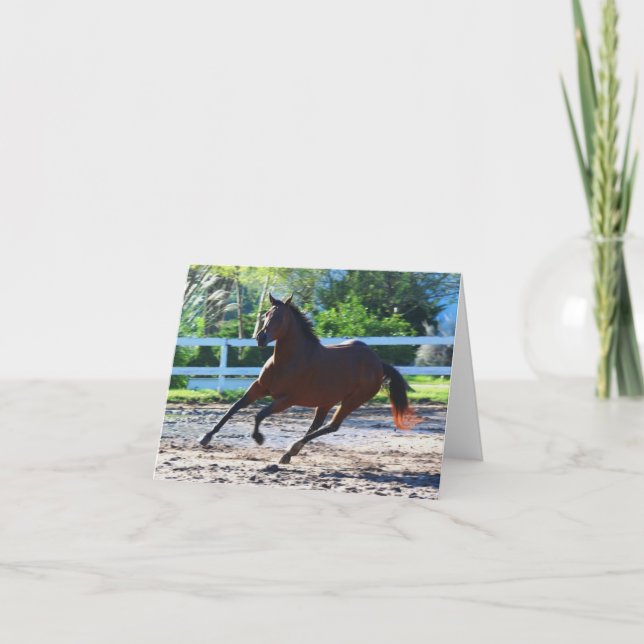 Horse note/greeting card 5 (Front)