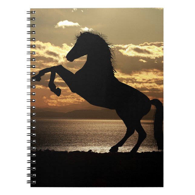 horse notebook (Front)