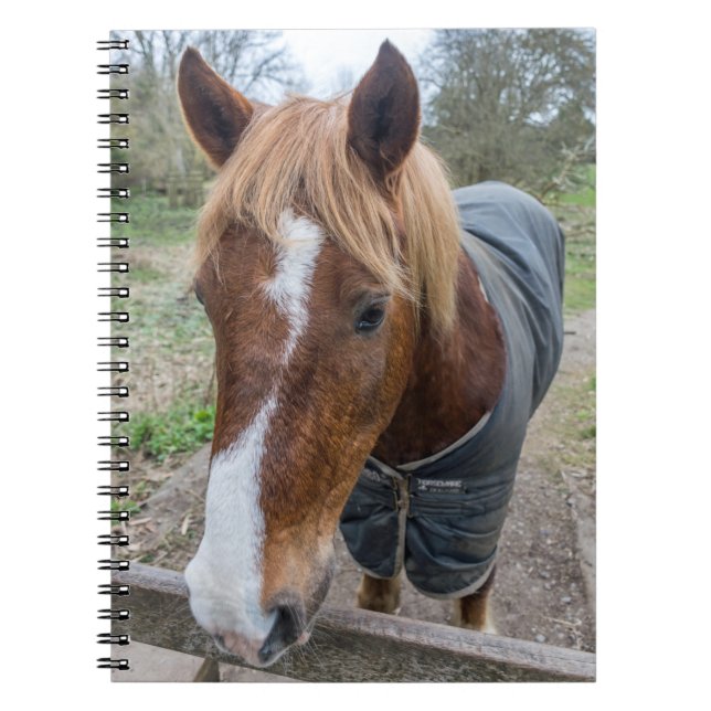 Horse notebook (Front)