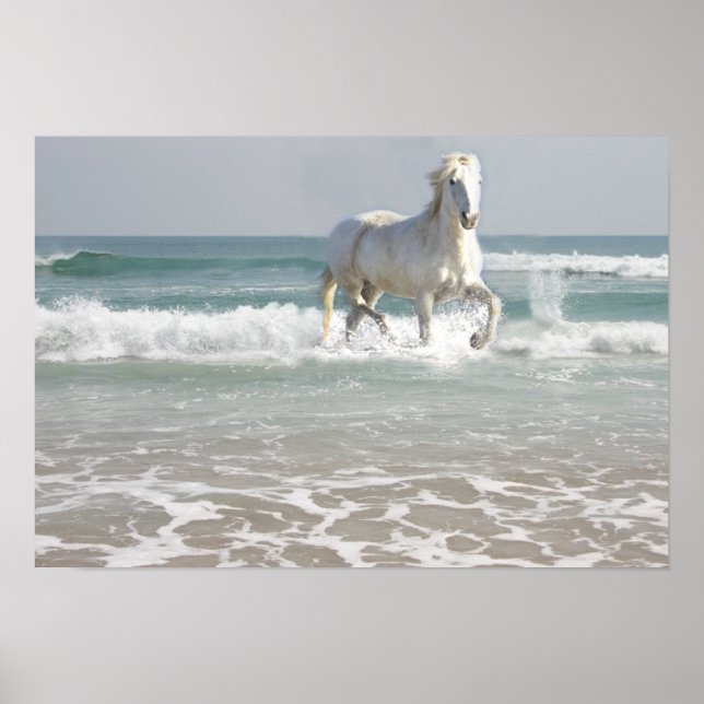 Horse Ocean Beauty Print (Front)