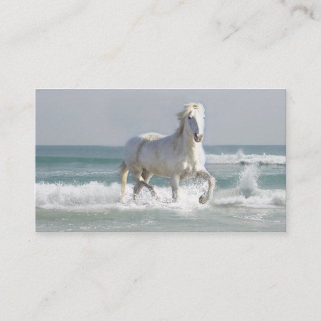 Horse Ocean Business Card (Front)