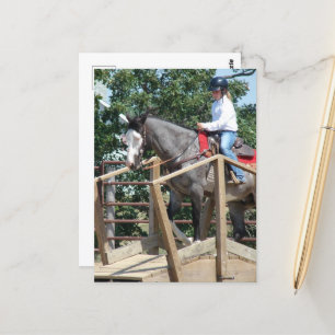 Horse on a Bridge Trail Class County Fair Postcard