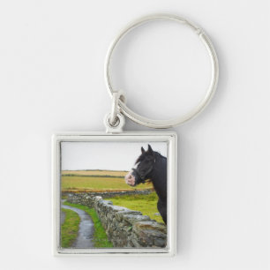 Horse on farm in rural England Key Ring