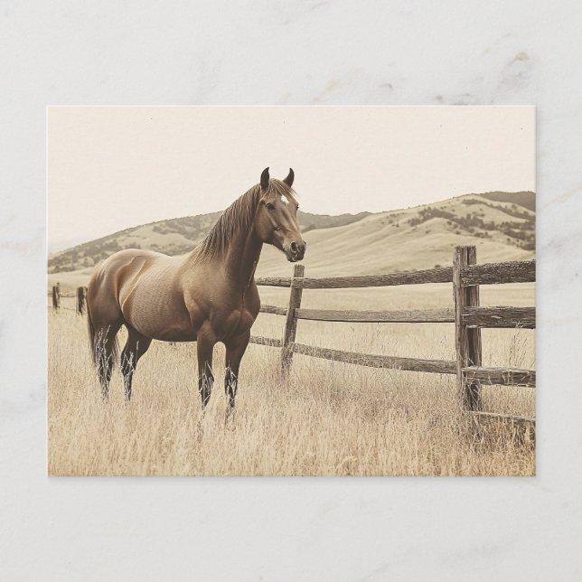 Horse on the Range Vintage Sepia Postcard (Front)
