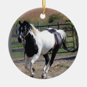 Horse/Paint Pinto Ceramic Tree Decoration