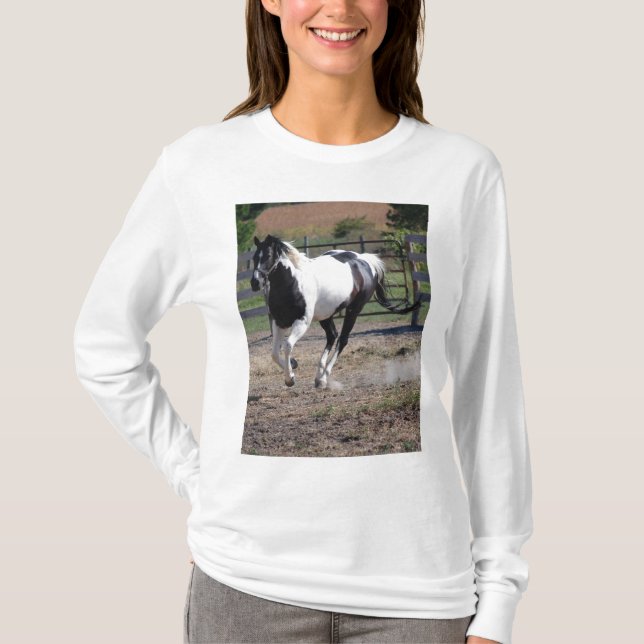 Horse/Paint Pinto T-Shirt (Front)