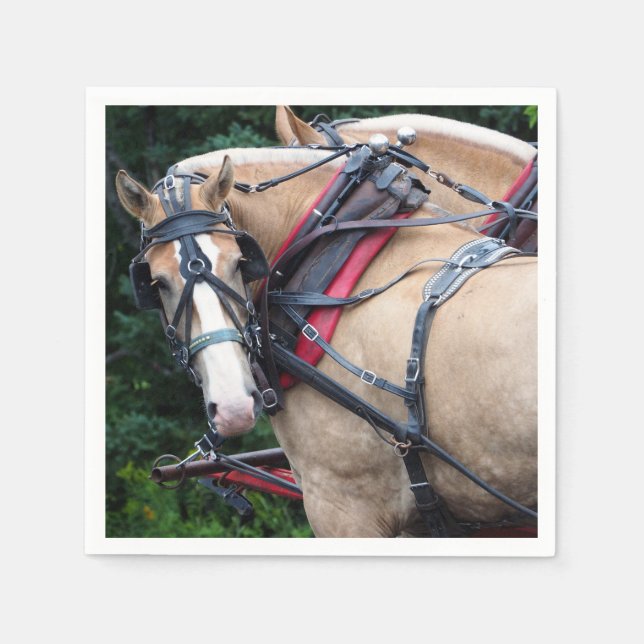 Horse Palomino Harness Napkin (Front)